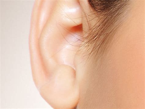 Ear Surgery Otoplasty And Earlobe Repair Lobuloplasty The Center