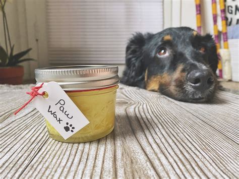 Diy paw wax keeps the ice from forming on the bottom of your dog's paws and protects the dog's paw from winter injury's resulting from cold and dryness. Crafty Time on Doggo Bloggo | DIY Dog Paw Wax | jessicashawphotography.com