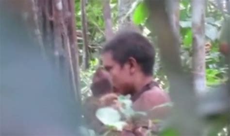 survival international releases footage of awa indigenous tribe in brazil rainforest metro news