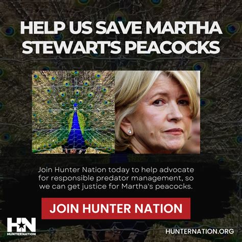Martha Stewarts Peacocks Died Because We Cant Hunt Enough Citigist