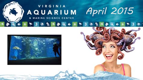 Virginia Aquarium And Marine Science Center Virginia Beach Va Youtube