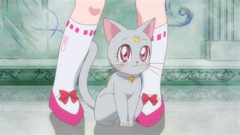 The Loyal Cats Of Sailor Moon Crystal Gone App