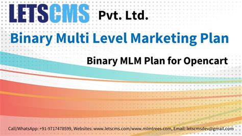 Binary Mlm Plan Binary Multi Level Marketing Plan Ecommerce Mlm