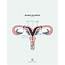 Bicornuate Partial Uterus  Designs By Duvet Days Anatomy Illustrations