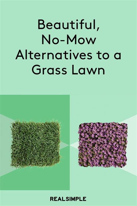 Beautiful No Mow Alternatives To A Grass Lawn While A Green Well