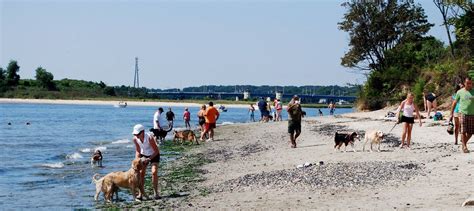 Dogs Will Only Be Allowed At Fishermans Cove In Manasquan During