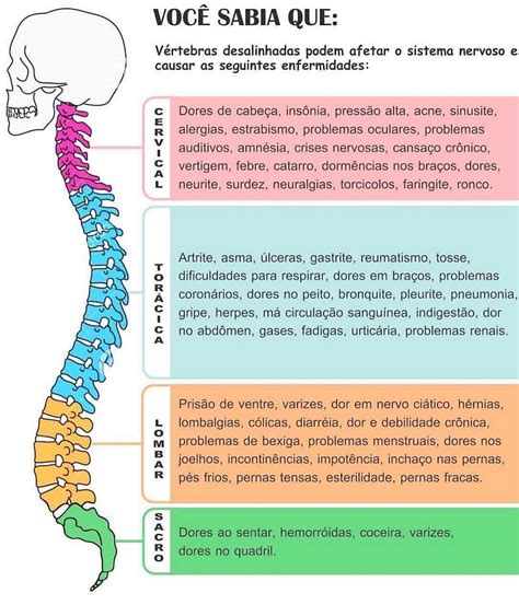 Coluna Vertebral Não é A Mesma Coisa Que Medula Espinhal