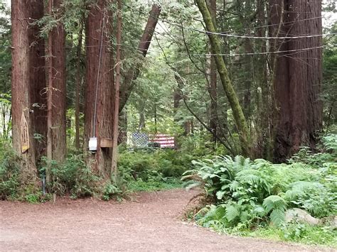 Gualala River Redwood Park All You Need To Know Before You Go