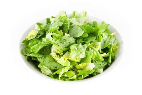 Bowl Of Lettuce Stock Photo Image Of Healthy Meal Studio 19025384