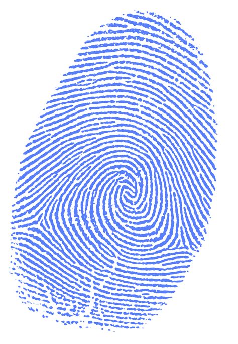 Fingerprint PNG png image