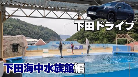 フォレスターで行く下田ドライブ下田海中水族館編 YouTube