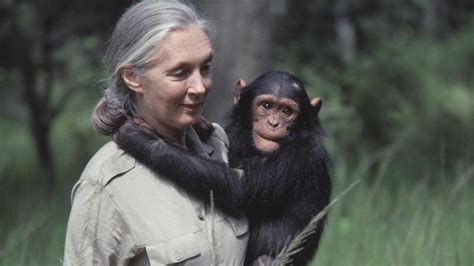 Jane Goodall Born Hot Sex Picture