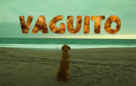 “vaguito” La Película Que Está Conmoviendo En Redes Con Acento