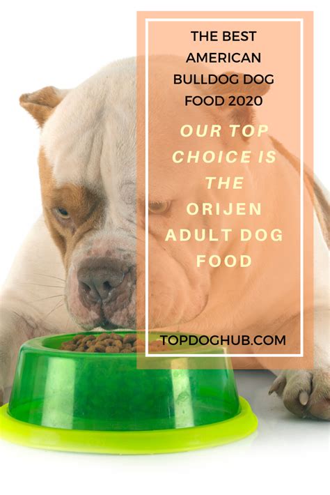 Specific food for sensitive stomach supports comforting mealtimes and alleviating any suffering is certainly better regular dog food with different proportion of nutrients. American Bulldogs Dog Food | Dog food recipes, American ...
