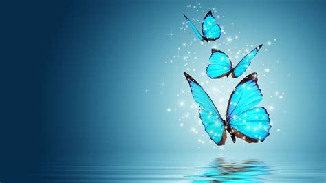 Blue Butterflies Fly Above Body Of Water With Reflection Hd Butterfly Wallpapers Hd Wallpapers