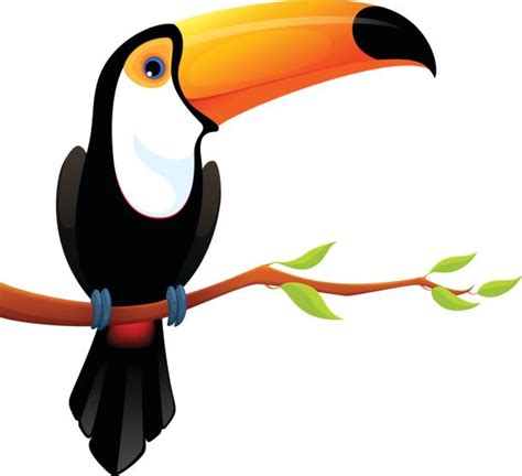 Toucan Clip Art Vector Images And Illustrations Istock