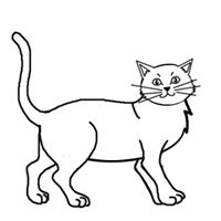 20+ cute simple cat tattoo ideas for kitty lovers. How To Draw A Cat Practice Traditional-drawing Contest ...