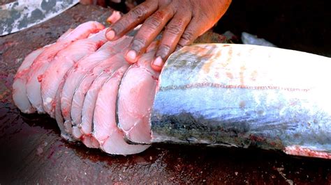 Cuddalore Ot Amazing Fish Cutting Knife Cutting Skill Something