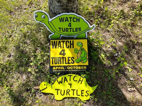 Watch 4 Turtles Signs Think Turtle Conservation Initiative