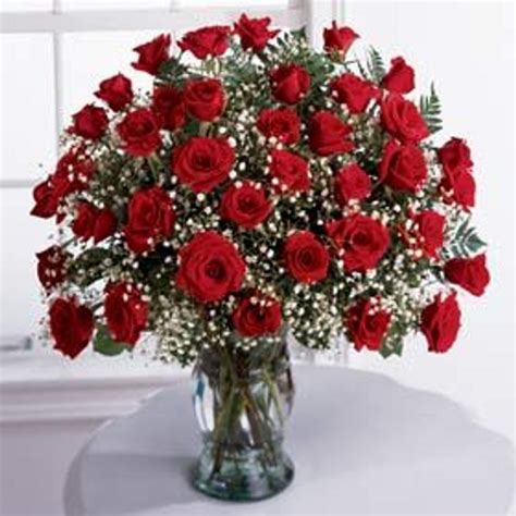 Three Dozen Red Roses Norman Florist Flower Shop In Flanders And Livingston