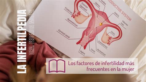 Infertilidad Femenina Factores Más Frecuentes