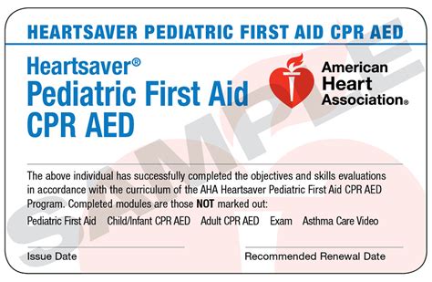 American Heart Association Heart Saver Pediatric Cpr Aed And First Aid