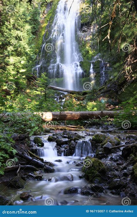 Beautiful Proxy Falls In Mist Oregon Royalty Free Stock Photography