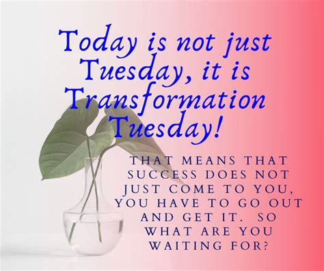 Transformationtuesday Tuesday Positive Daily Quotes Tuesday Quotes