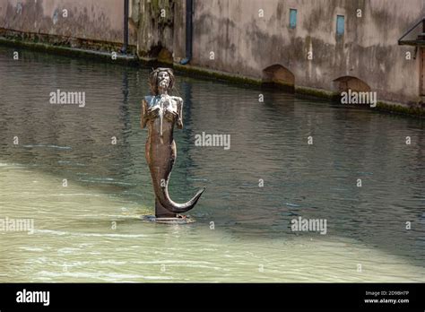 Mermaid Statue In Treviso In Italy Located In Pescheria Island Stock
