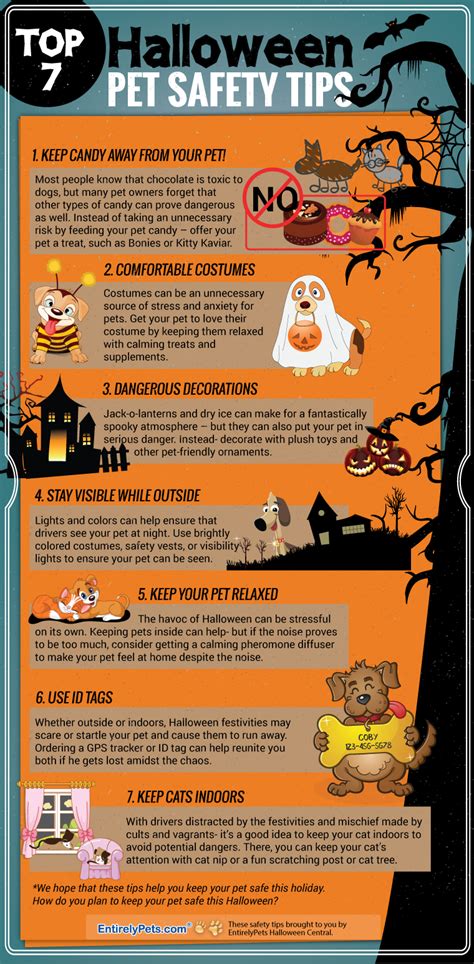 Halloween Pet Safety Tips Visually