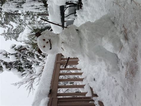 Free Images White Weather Season Austria Figure Snowman Funny