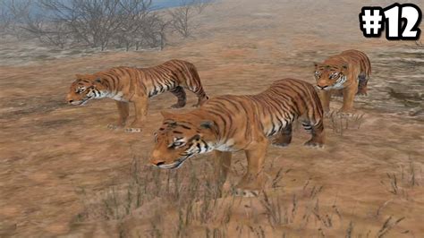 Wild Animals Online Pack Of Tigers Androidios