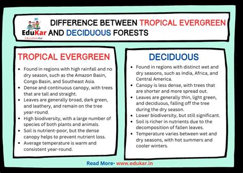 Difference Between Tropical Evergreen And Deciduous Forest Edukar India