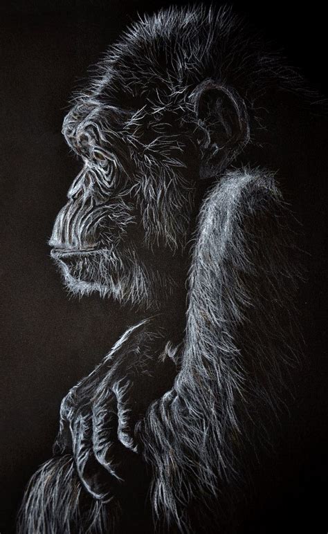 261 Best Black Paper And White Charcoal Images On Pinterest Drawings Of