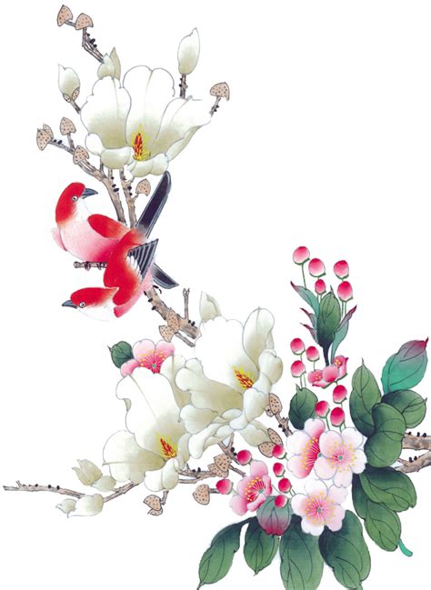 Spring Chinese Flower Png Photos Png Arts