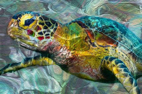 Tropical Sea Turtle By Jack Zulli Turtle Art Turtle Painting Sea