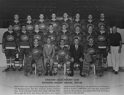 Oakland Seals Hockey Club 1967 | HockeyGods