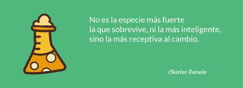 No hace falta que te diga lo importante que es para nuestros hijos que . Juegos de Conocimiento del Medio para niños de Primaria