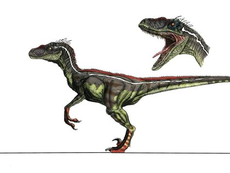 Jp3 Male Velociraptor By Yankeetrex On Deviantart Velociraptor