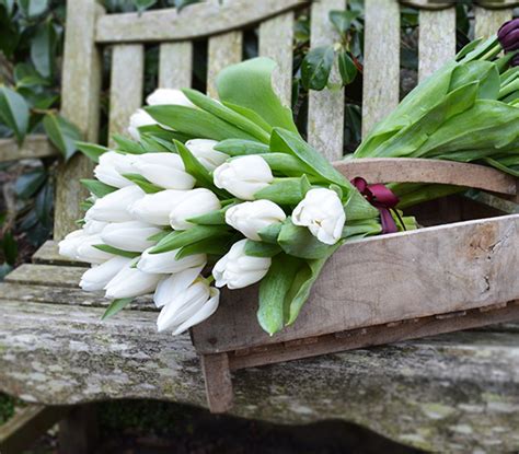 Free delivery @ flowers for funerals discount code. Funeral Flowers Chelmsford - order online or call 01245 361939