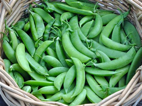 We did not find results for: Sugar Snap Peas - Country Gardens Farm