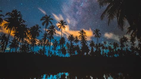 Wallpaper Palm Trees Starry Sky Milky Way Stars Night