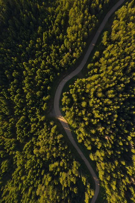 Road Winding Aerial View Forest Trees Hd Phone Wallpaper Peakpx