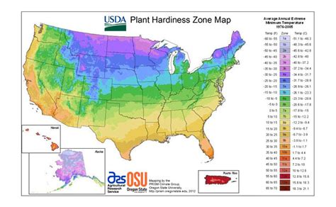 Things To Know About Hardiness Zones Plant Hardiness Zone Map Hot Sex Picture