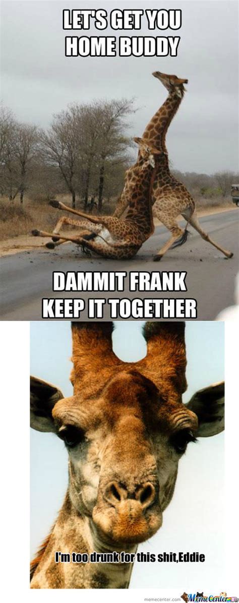 Funny Giraffe Memes