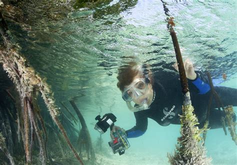 Oceanographer Sylvia Earle Is On A Mission To Save Our Seas The