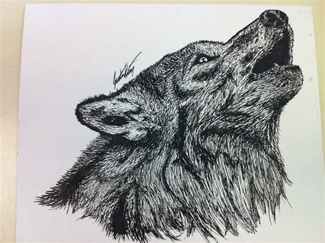 Pen And Ink Wolf By Jckantz88 On Deviantart