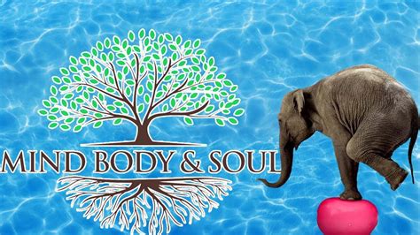 Taking care of your Mind, Body & Soul - YouTube