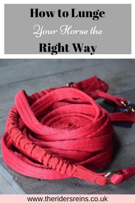 How To Lunge Your Horse The Right Way Artofit