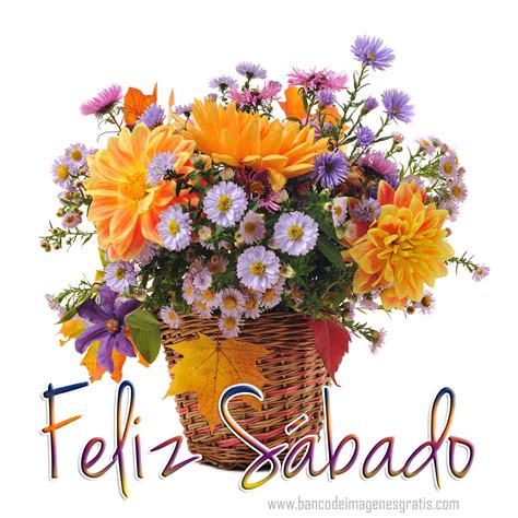 Banco De Imágenes Gratis Postal Con Mensaje De Feliz Sábado Y Flores